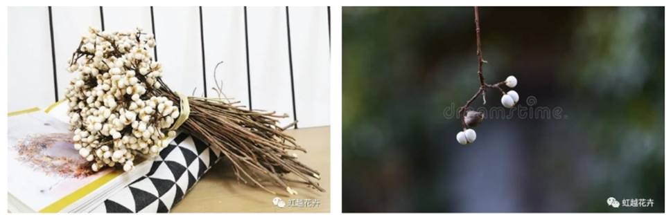 當之無愧最美秋樹,如上帝打翻調(diào)色盤! 當之無愧最美秋樹,如上帝打翻調(diào)色盤!