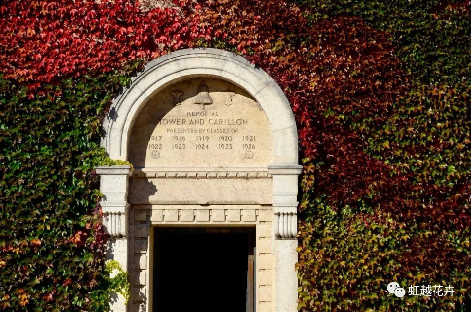 當之無愧最美秋樹,如上帝打翻調(diào)色盤! 當之無愧最美秋樹,如上帝打翻調(diào)色盤!