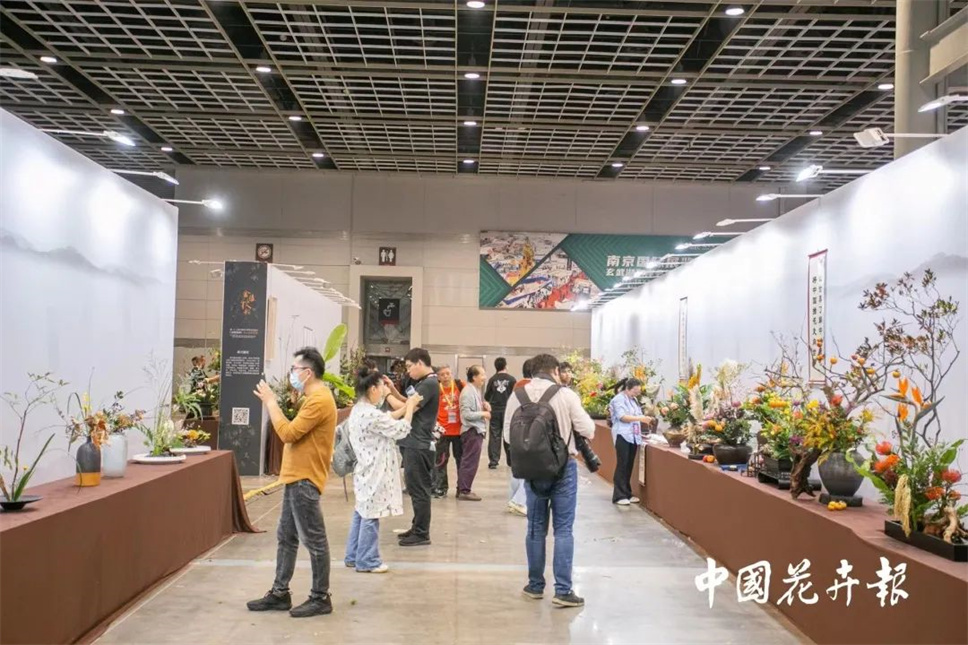 【采薇專欄】傳統(tǒng)插花要破圈兒？17個(gè)流派、名師的200個(gè)作品點(diǎn)亮南京“最美花展”
