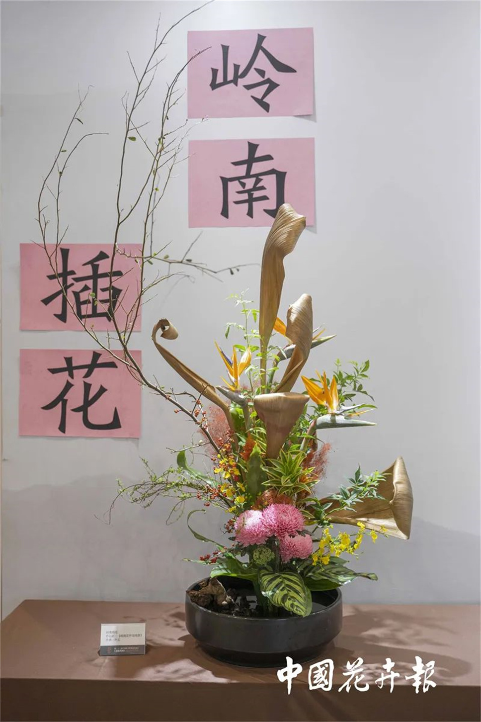 【采薇專欄】傳統(tǒng)插花要破圈兒?17個(gè)流派、名師的200個(gè)作品點(diǎn)亮南京“最美花展” 【采薇專欄】傳統(tǒng)插花要破圈兒?17個(gè)流派、名師的200個(gè)作品點(diǎn)亮南京“最美花展”