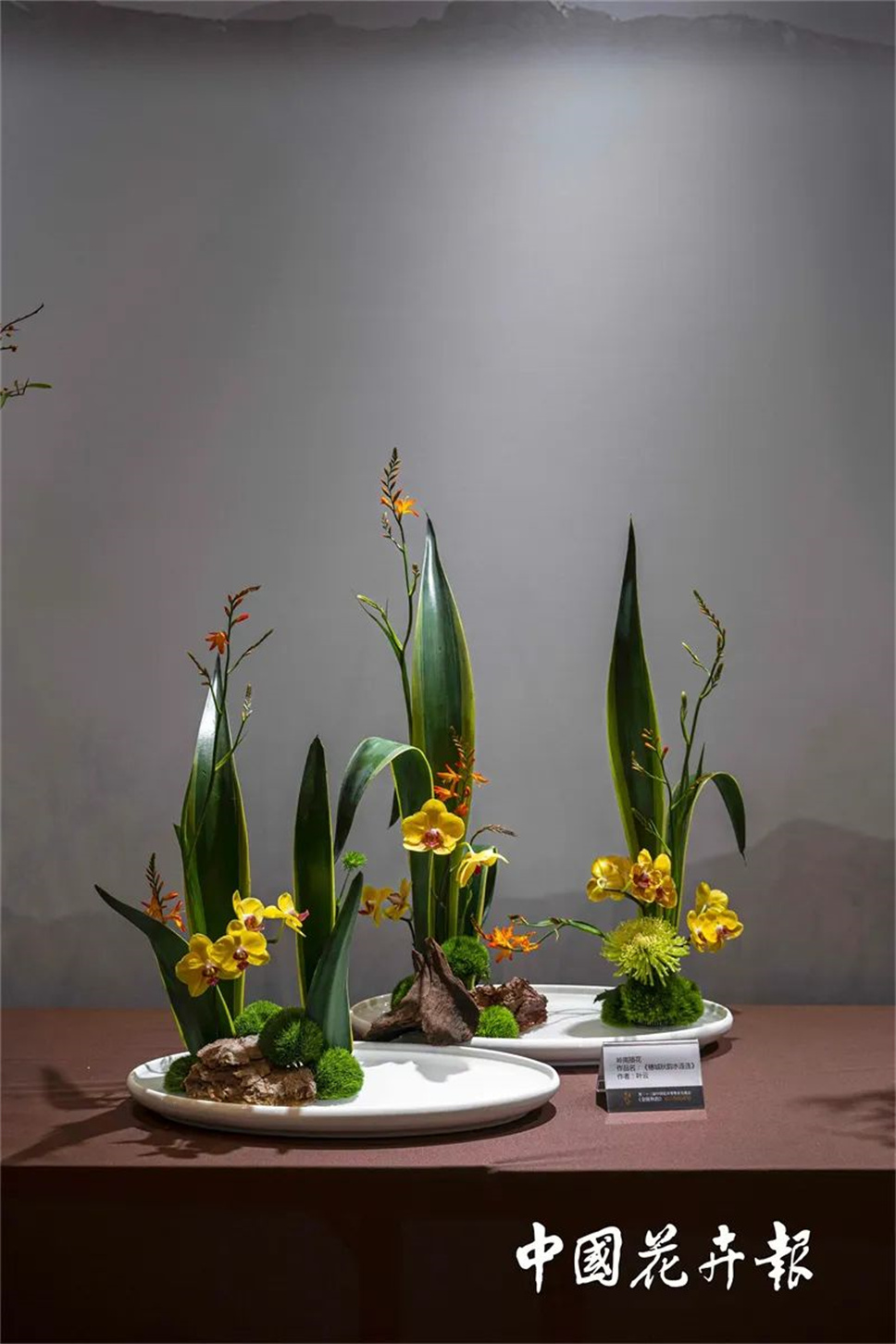 【采薇專欄】傳統(tǒng)插花要破圈兒?17個(gè)流派、名師的200個(gè)作品點(diǎn)亮南京“最美花展” 【采薇專欄】傳統(tǒng)插花要破圈兒?17個(gè)流派、名師的200個(gè)作品點(diǎn)亮南京“最美花展”