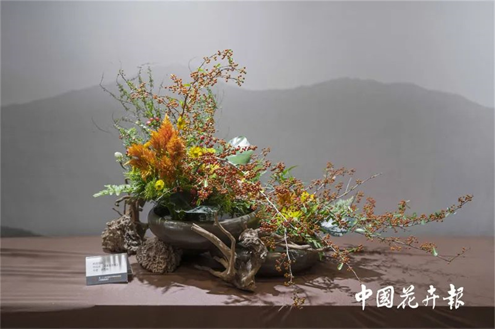 【采薇專欄】傳統(tǒng)插花要破圈兒?17個(gè)流派、名師的200個(gè)作品點(diǎn)亮南京“最美花展” 【采薇專欄】傳統(tǒng)插花要破圈兒?17個(gè)流派、名師的200個(gè)作品點(diǎn)亮南京“最美花展”