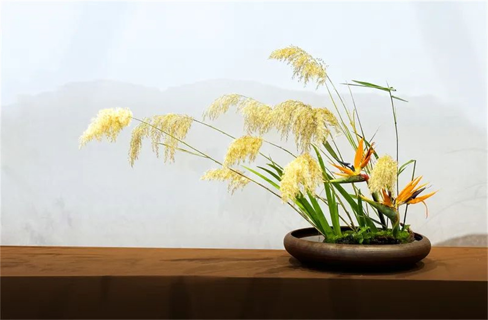 【采薇專欄】傳統(tǒng)插花要破圈兒?17個(gè)流派、名師的200個(gè)作品點(diǎn)亮南京“最美花展” 【采薇專欄】傳統(tǒng)插花要破圈兒?17個(gè)流派、名師的200個(gè)作品點(diǎn)亮南京“最美花展”