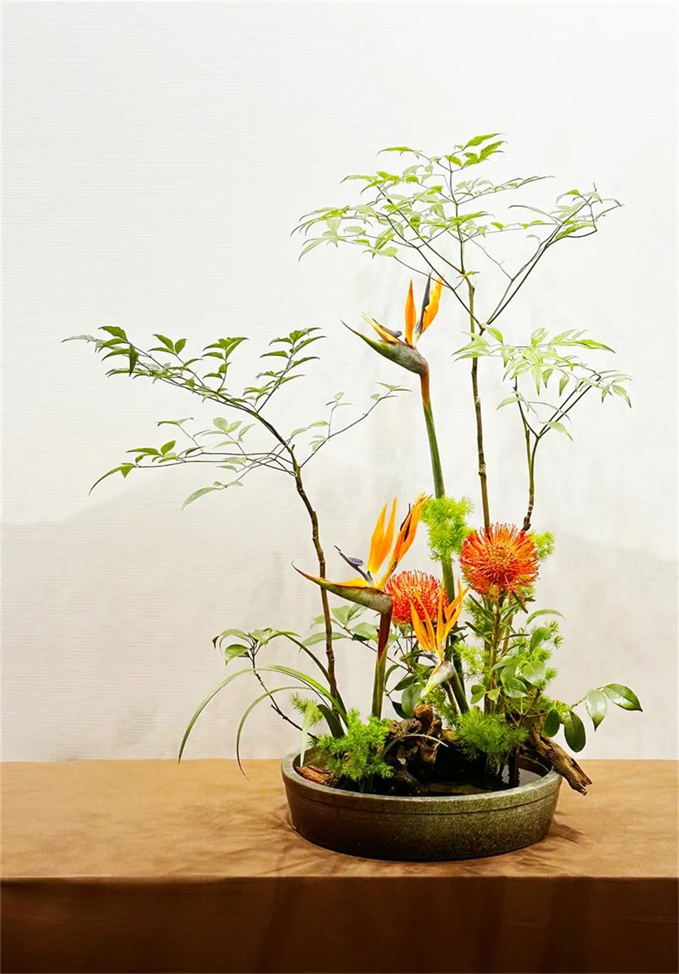 【采薇專欄】傳統(tǒng)插花要破圈兒?17個(gè)流派、名師的200個(gè)作品點(diǎn)亮南京“最美花展” 【采薇專欄】傳統(tǒng)插花要破圈兒?17個(gè)流派、名師的200個(gè)作品點(diǎn)亮南京“最美花展”