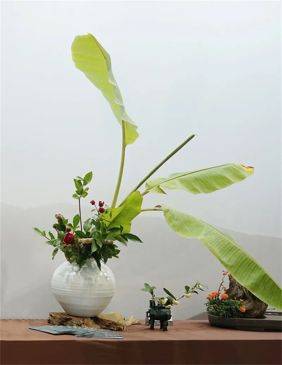 【采薇專欄】傳統(tǒng)插花要破圈兒?17個(gè)流派、名師的200個(gè)作品點(diǎn)亮南京“最美花展” 【采薇專欄】傳統(tǒng)插花要破圈兒?17個(gè)流派、名師的200個(gè)作品點(diǎn)亮南京“最美花展”