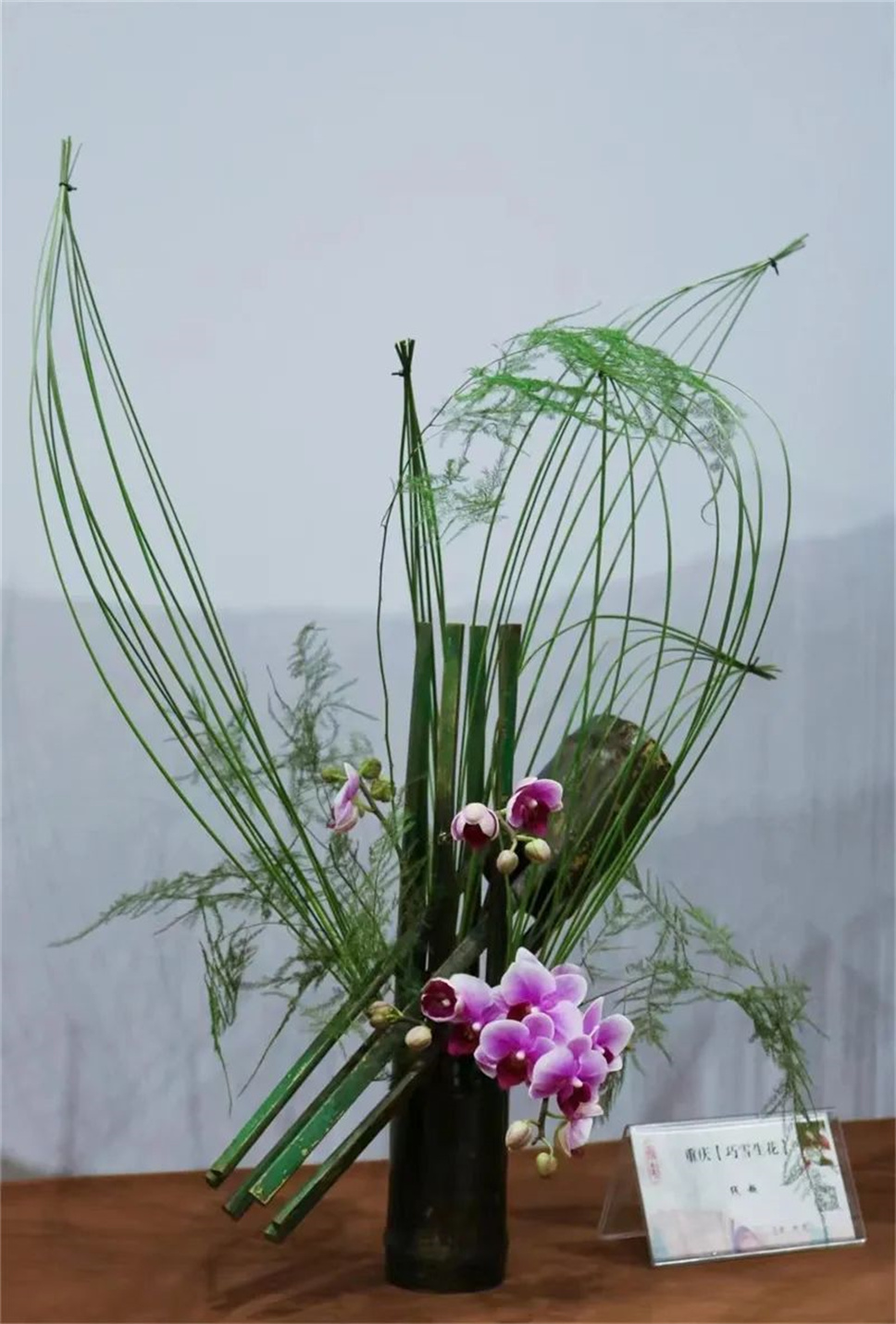 【采薇專欄】傳統(tǒng)插花要破圈兒?17個(gè)流派、名師的200個(gè)作品點(diǎn)亮南京“最美花展” 【采薇專欄】傳統(tǒng)插花要破圈兒?17個(gè)流派、名師的200個(gè)作品點(diǎn)亮南京“最美花展”