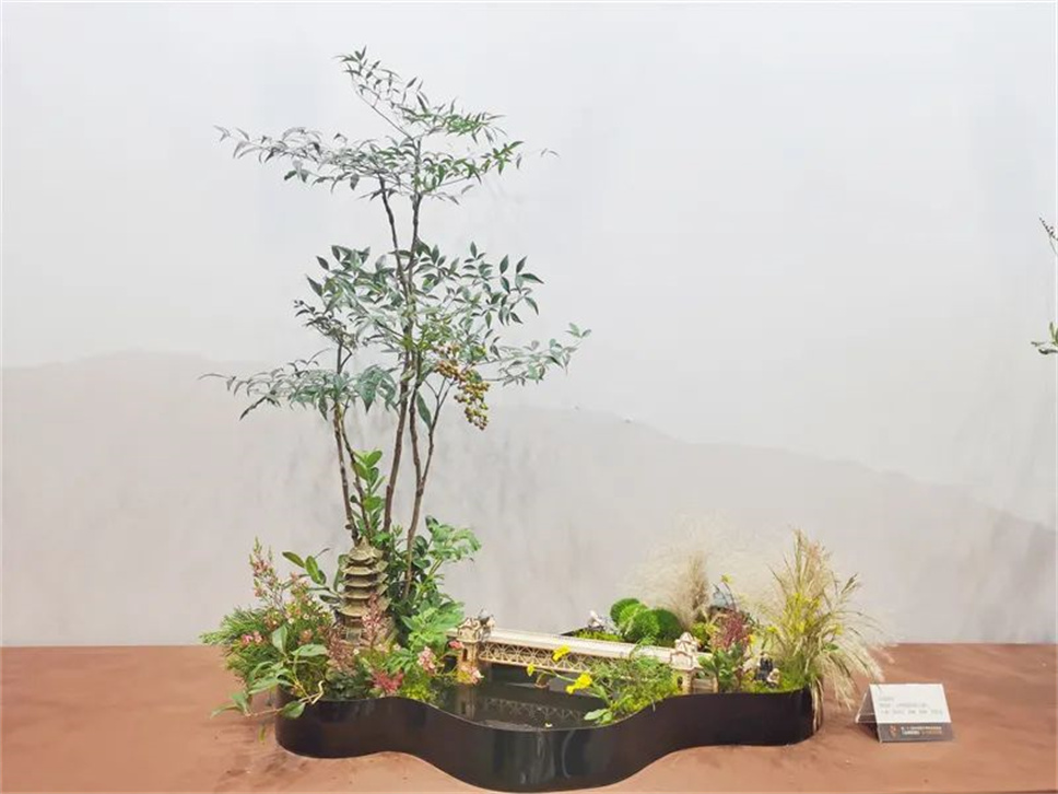 【采薇專欄】傳統(tǒng)插花要破圈兒？17個(gè)流派、名師的200個(gè)作品點(diǎn)亮南京“最美花展”