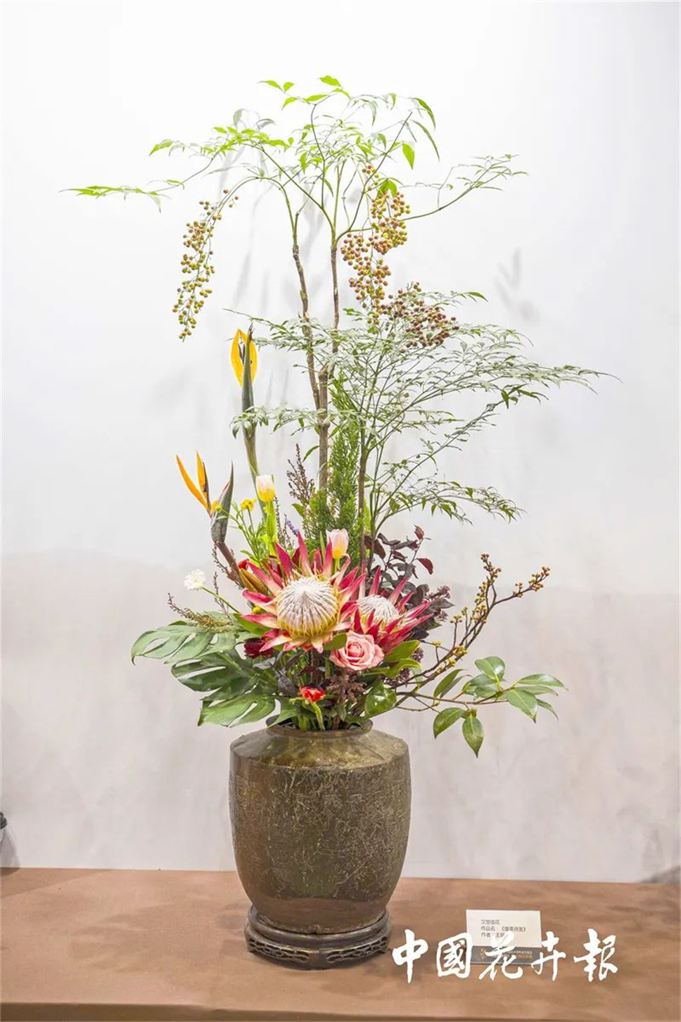 【采薇專欄】傳統(tǒng)插花要破圈兒?17個(gè)流派、名師的200個(gè)作品點(diǎn)亮南京“最美花展” 【采薇專欄】傳統(tǒng)插花要破圈兒?17個(gè)流派、名師的200個(gè)作品點(diǎn)亮南京“最美花展”