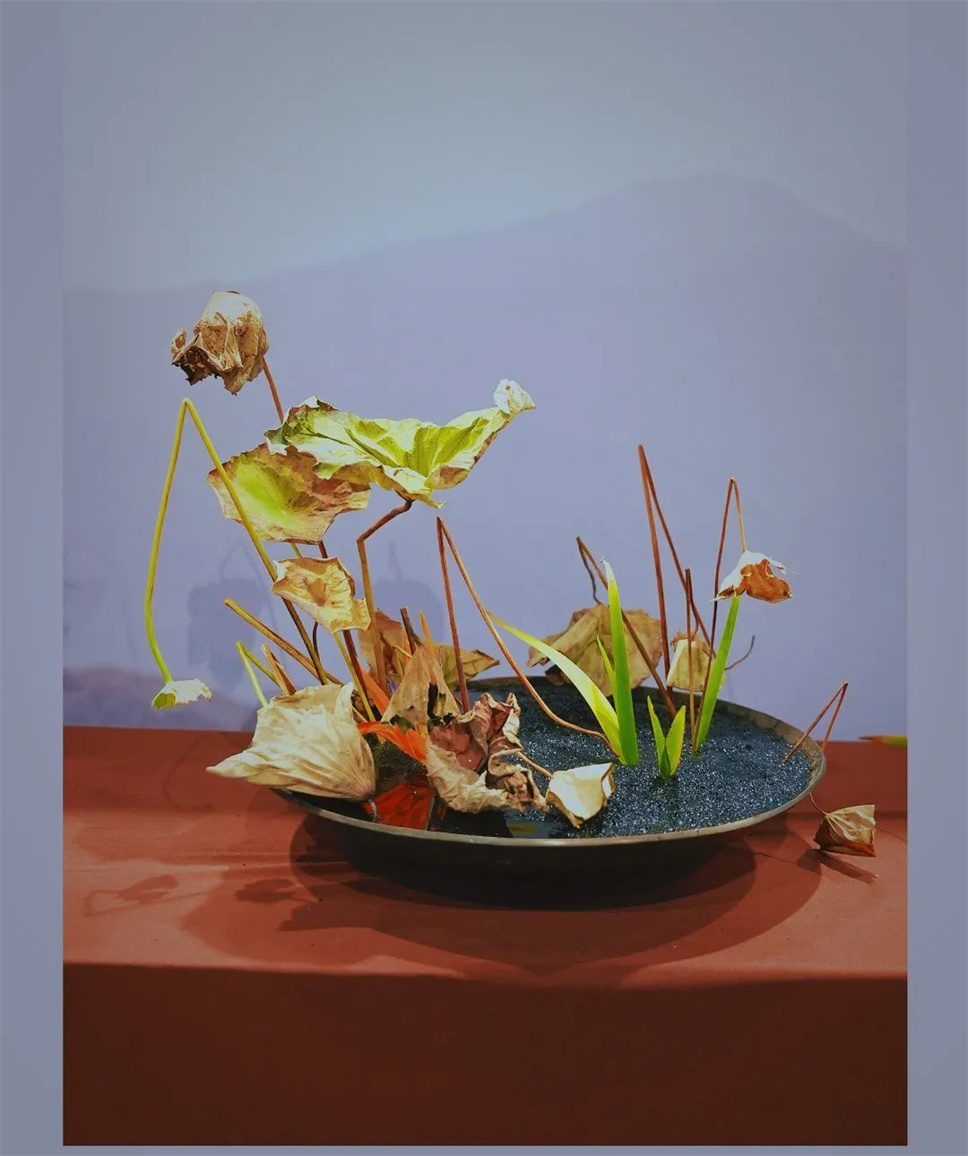 【采薇專欄】傳統(tǒng)插花要破圈兒?17個(gè)流派、名師的200個(gè)作品點(diǎn)亮南京“最美花展” 【采薇專欄】傳統(tǒng)插花要破圈兒?17個(gè)流派、名師的200個(gè)作品點(diǎn)亮南京“最美花展”