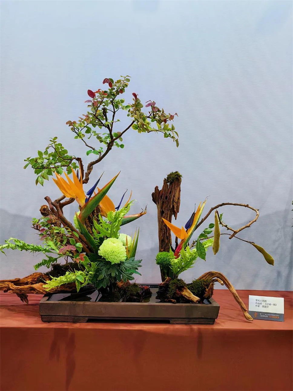 【采薇專欄】傳統(tǒng)插花要破圈兒?17個(gè)流派、名師的200個(gè)作品點(diǎn)亮南京“最美花展” 【采薇專欄】傳統(tǒng)插花要破圈兒?17個(gè)流派、名師的200個(gè)作品點(diǎn)亮南京“最美花展”