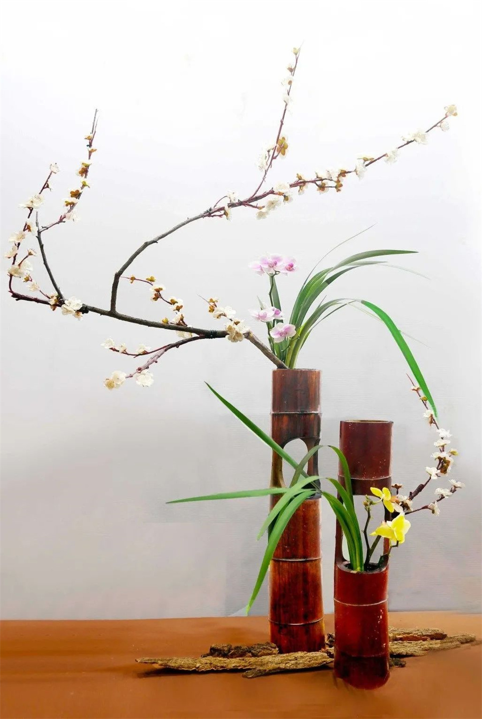 【采薇專欄】傳統(tǒng)插花要破圈兒?17個(gè)流派、名師的200個(gè)作品點(diǎn)亮南京“最美花展” 【采薇專欄】傳統(tǒng)插花要破圈兒?17個(gè)流派、名師的200個(gè)作品點(diǎn)亮南京“最美花展”