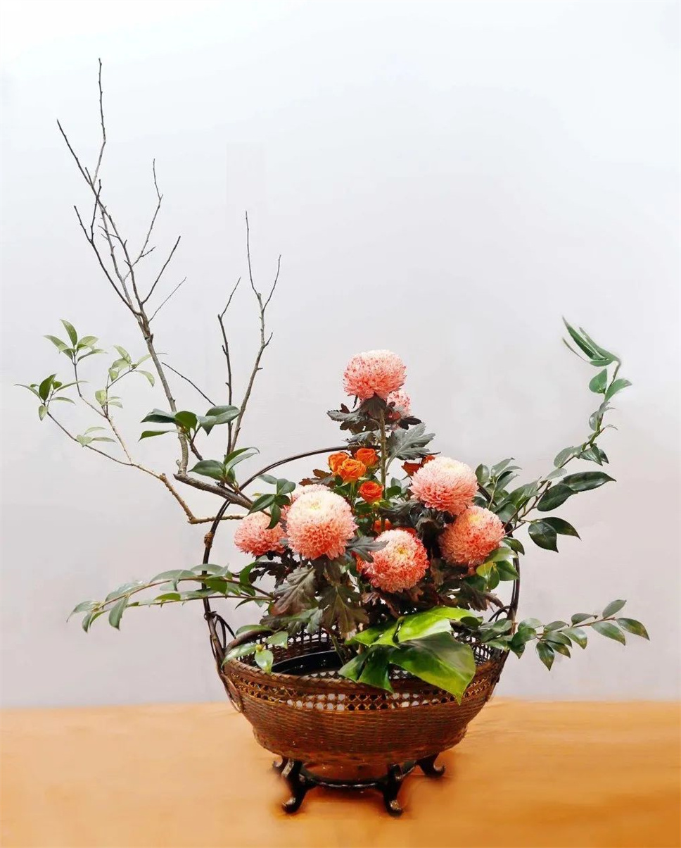 【采薇專欄】傳統(tǒng)插花要破圈兒?17個(gè)流派、名師的200個(gè)作品點(diǎn)亮南京“最美花展” 【采薇專欄】傳統(tǒng)插花要破圈兒?17個(gè)流派、名師的200個(gè)作品點(diǎn)亮南京“最美花展”