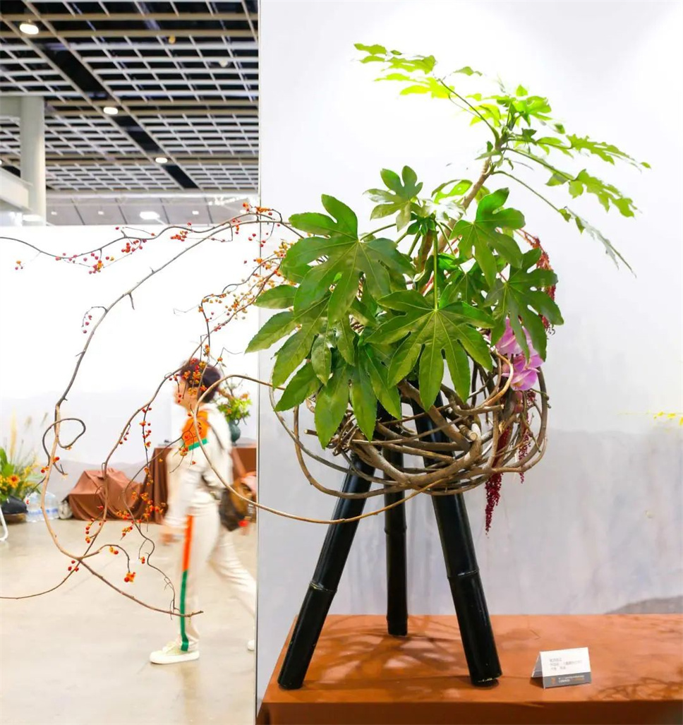 【采薇專欄】傳統(tǒng)插花要破圈兒?17個(gè)流派、名師的200個(gè)作品點(diǎn)亮南京“最美花展” 【采薇專欄】傳統(tǒng)插花要破圈兒?17個(gè)流派、名師的200個(gè)作品點(diǎn)亮南京“最美花展”