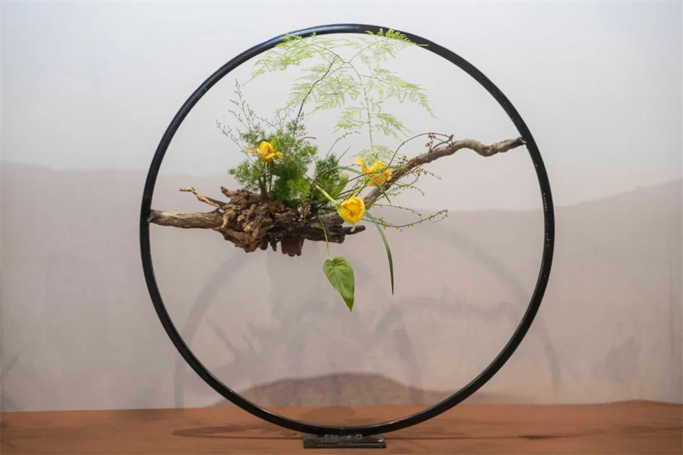 【采薇專欄】傳統(tǒng)插花要破圈兒?17個(gè)流派、名師的200個(gè)作品點(diǎn)亮南京“最美花展” 【采薇專欄】傳統(tǒng)插花要破圈兒?17個(gè)流派、名師的200個(gè)作品點(diǎn)亮南京“最美花展”