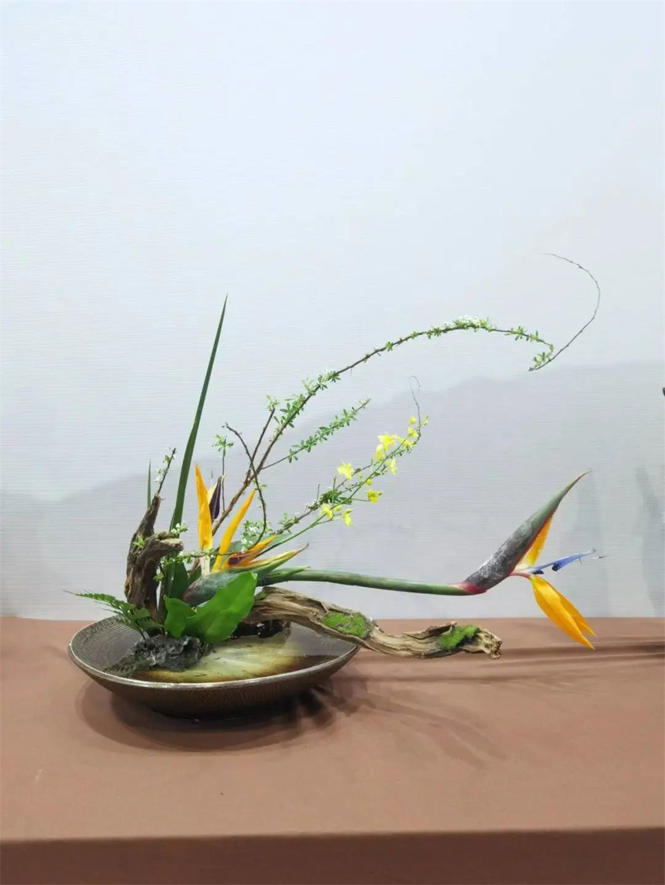 【采薇專欄】傳統(tǒng)插花要破圈兒?17個(gè)流派、名師的200個(gè)作品點(diǎn)亮南京“最美花展” 【采薇專欄】傳統(tǒng)插花要破圈兒?17個(gè)流派、名師的200個(gè)作品點(diǎn)亮南京“最美花展”