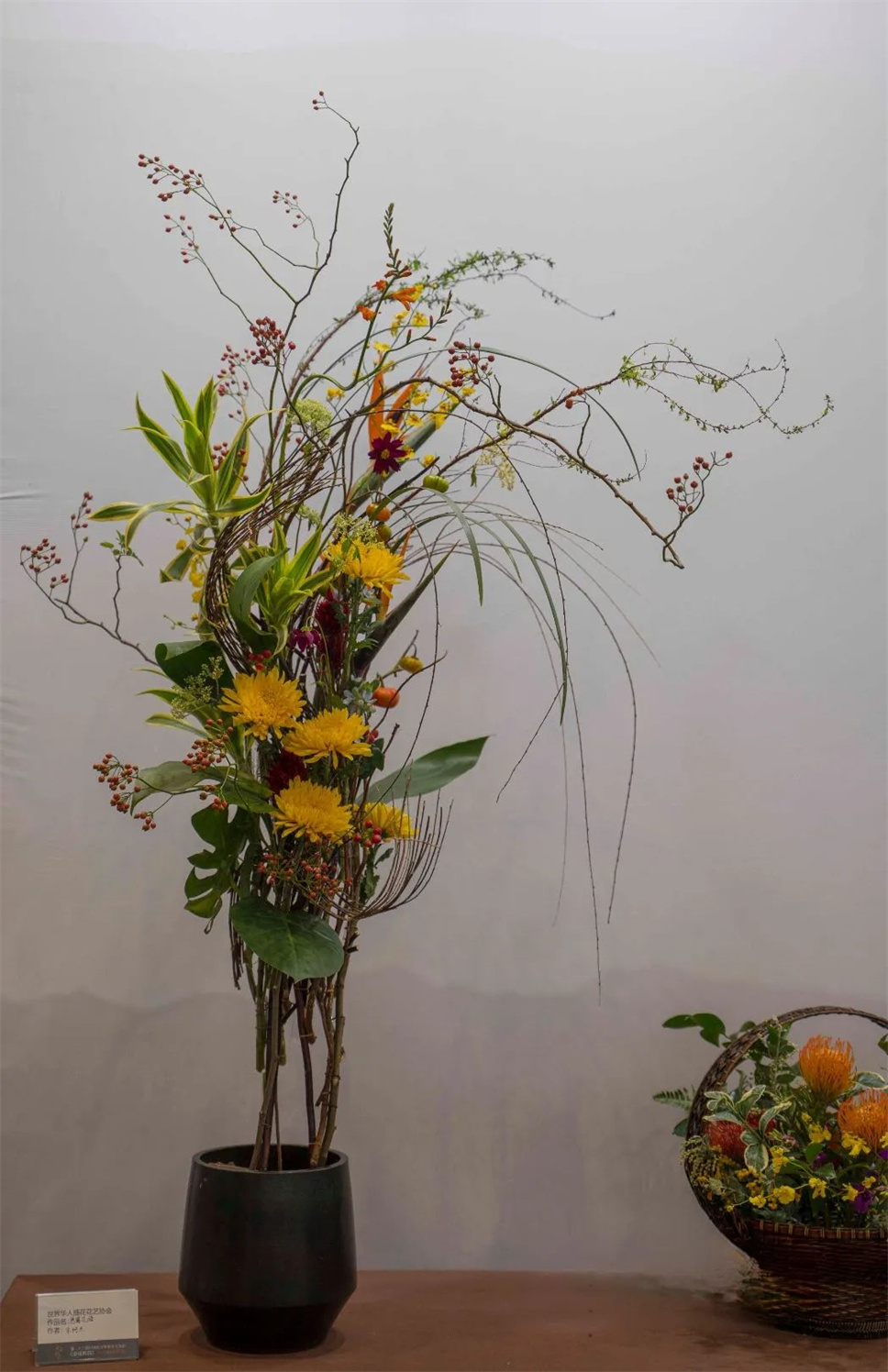 【采薇專欄】傳統(tǒng)插花要破圈兒?17個(gè)流派、名師的200個(gè)作品點(diǎn)亮南京“最美花展” 【采薇專欄】傳統(tǒng)插花要破圈兒?17個(gè)流派、名師的200個(gè)作品點(diǎn)亮南京“最美花展”