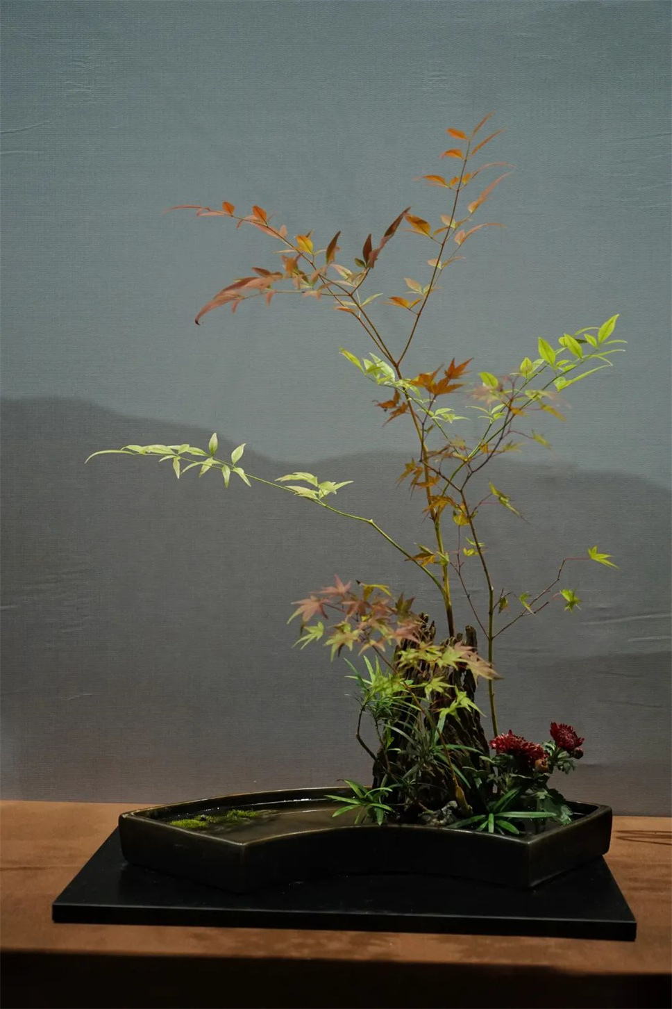 【采薇專欄】傳統(tǒng)插花要破圈兒?17個(gè)流派、名師的200個(gè)作品點(diǎn)亮南京“最美花展” 【采薇專欄】傳統(tǒng)插花要破圈兒?17個(gè)流派、名師的200個(gè)作品點(diǎn)亮南京“最美花展”