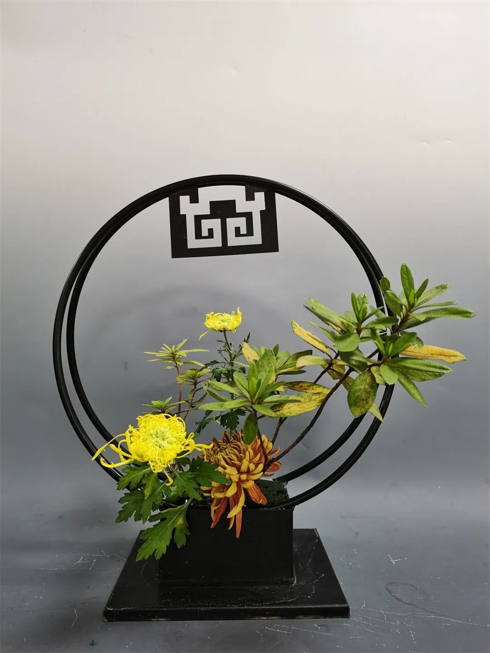 【采薇專欄】傳統(tǒng)插花要破圈兒?17個(gè)流派、名師的200個(gè)作品點(diǎn)亮南京“最美花展” 【采薇專欄】傳統(tǒng)插花要破圈兒?17個(gè)流派、名師的200個(gè)作品點(diǎn)亮南京“最美花展”