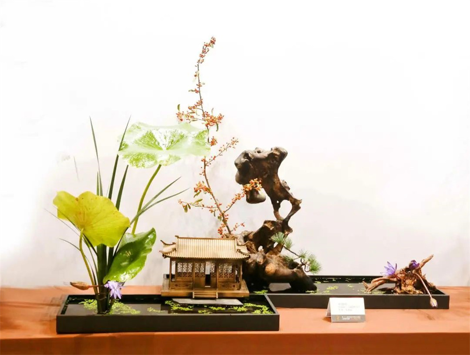 【采薇專欄】傳統(tǒng)插花要破圈兒?17個(gè)流派、名師的200個(gè)作品點(diǎn)亮南京“最美花展” 【采薇專欄】傳統(tǒng)插花要破圈兒?17個(gè)流派、名師的200個(gè)作品點(diǎn)亮南京“最美花展”