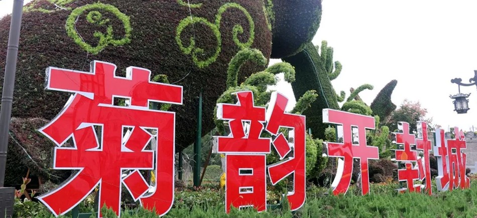 中國開封第37屆菊花文化節(jié)開幕！多彩活動等你來