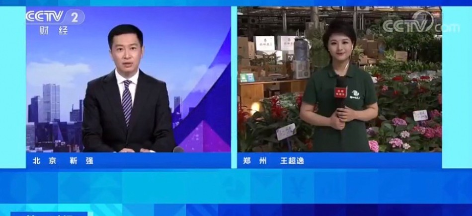 央視《第一時(shí)間》直播連線鄭州花卉市場：南花北運(yùn) 東花西走 淡季旺銷