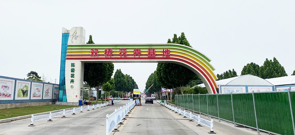 央視關(guān)注惠濟區(qū)陳砦花卉雙橋基地增強商戶信心 積極打造鄭州花卉品牌